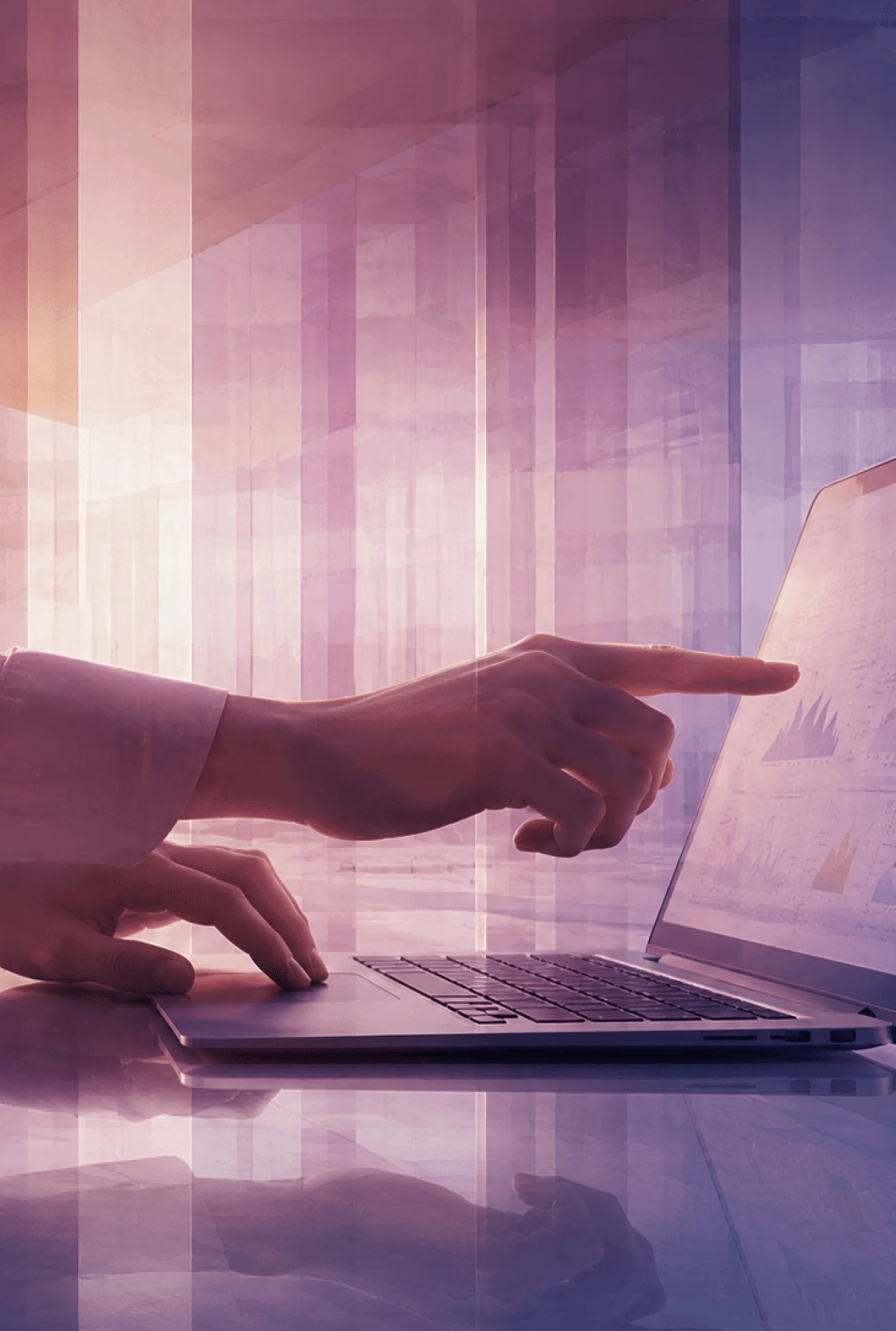 Reviewing organizational data on a laptop