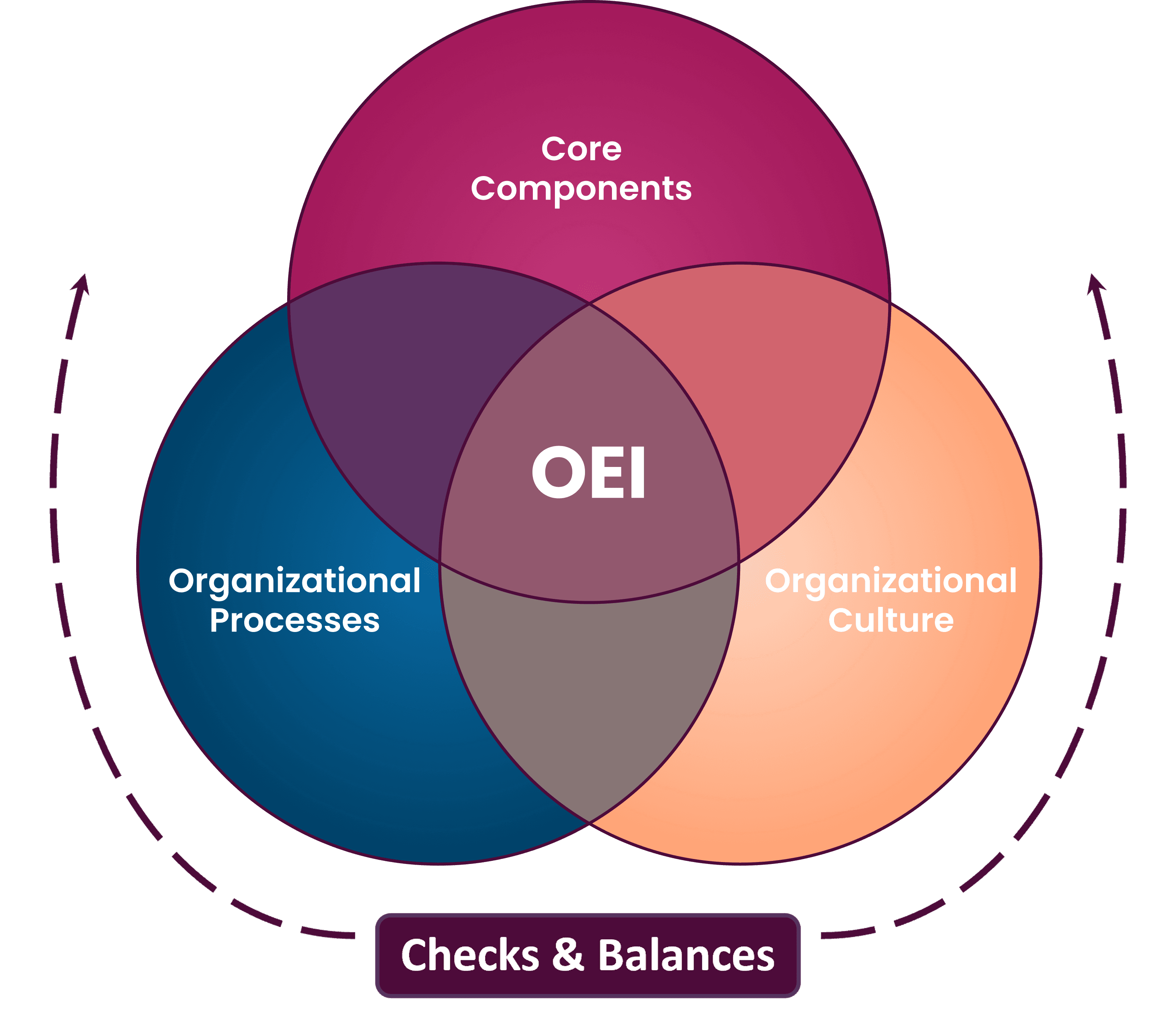 The OEI model: core components, organizational processes and organizational culture overlapping, with checks and balances around them