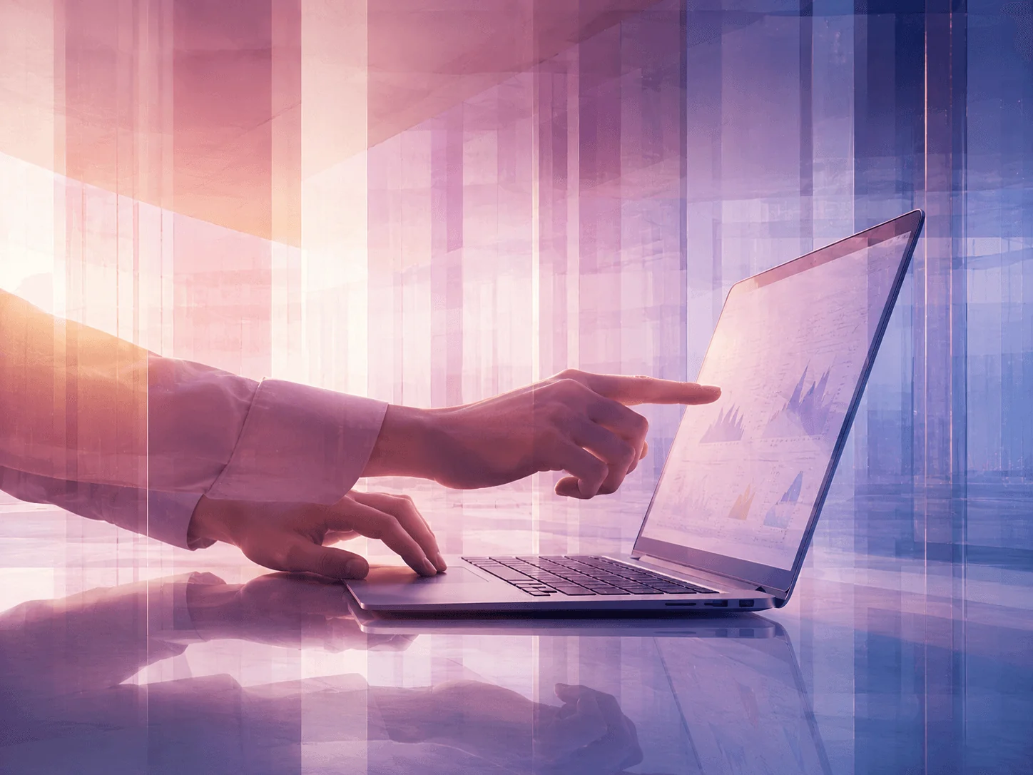 Reviewing organizational data on a laptop